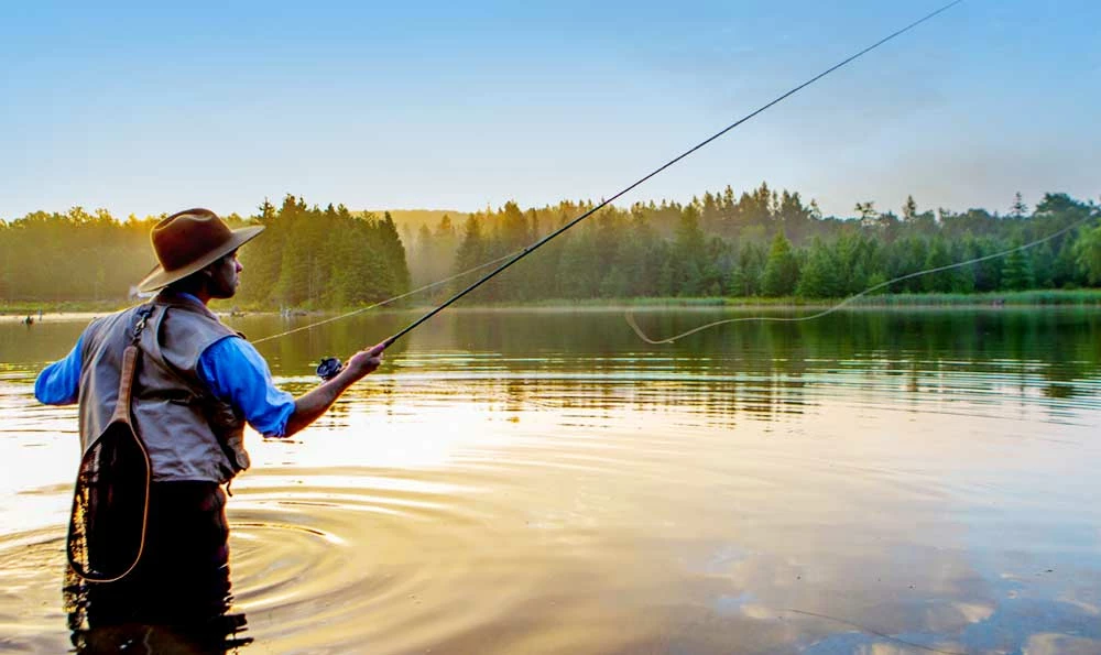 Berkley shop -Berkley shop 1