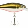 Berkley® Flicker Shad, 3-in