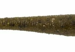 Berkley PowerBait® Max Scent Hitworm, 4-1/2-in 7 Berkley PowerBait® Max Scent Hitworm, 4-1/2-in -Berkley shop berkley powerbait max scent hitworm 4 1 2 green pumpkin 38933e8f e0b3 418c 8220 31b3f3341827