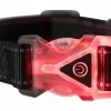 Browning LED Lighted Water Resistant Collar, Medium