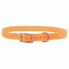 Browning Waterproof Performance Pet Dog Collar, Blaze Orange