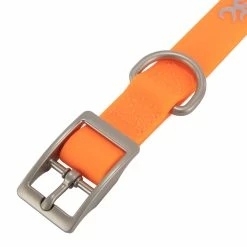 Browning Waterproof Performance Pet Dog Collar, Blaze Orange -Berkley shop browning performance dog collar blaze orange a65d7e10 5afb 47e2 a7a9 17649fa54ce1